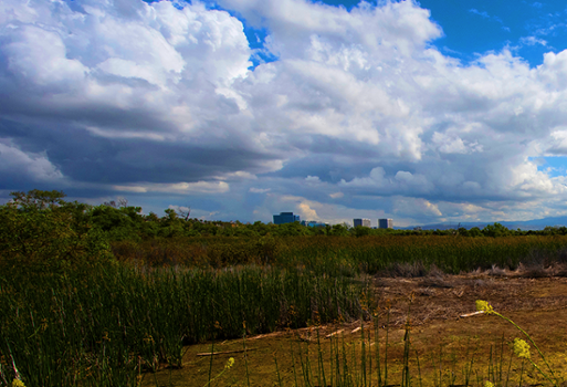 Image of UCI campus and surrounding environment